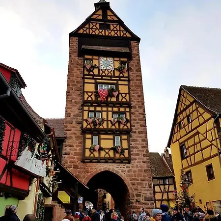Joseph 2pers Dans Le Vignoble A 8km De Colmar アンマーシュヴィア